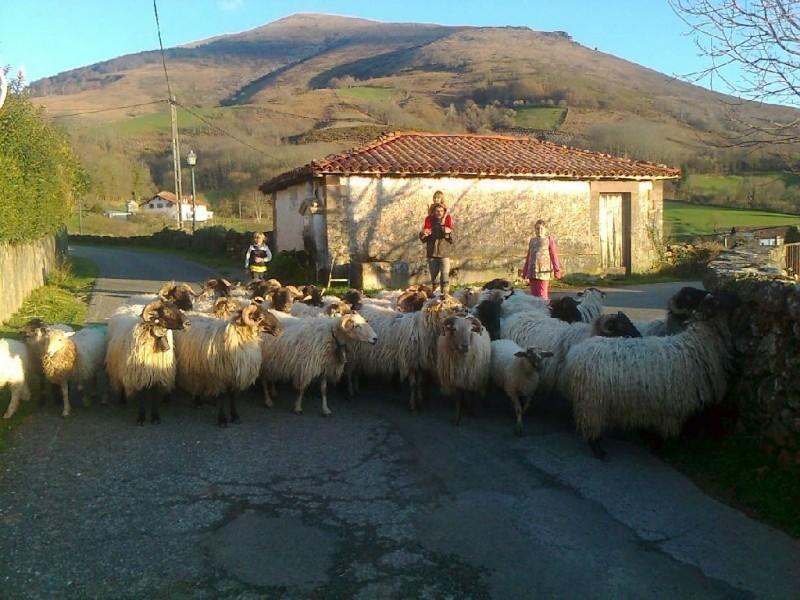 Rurales Kastonea